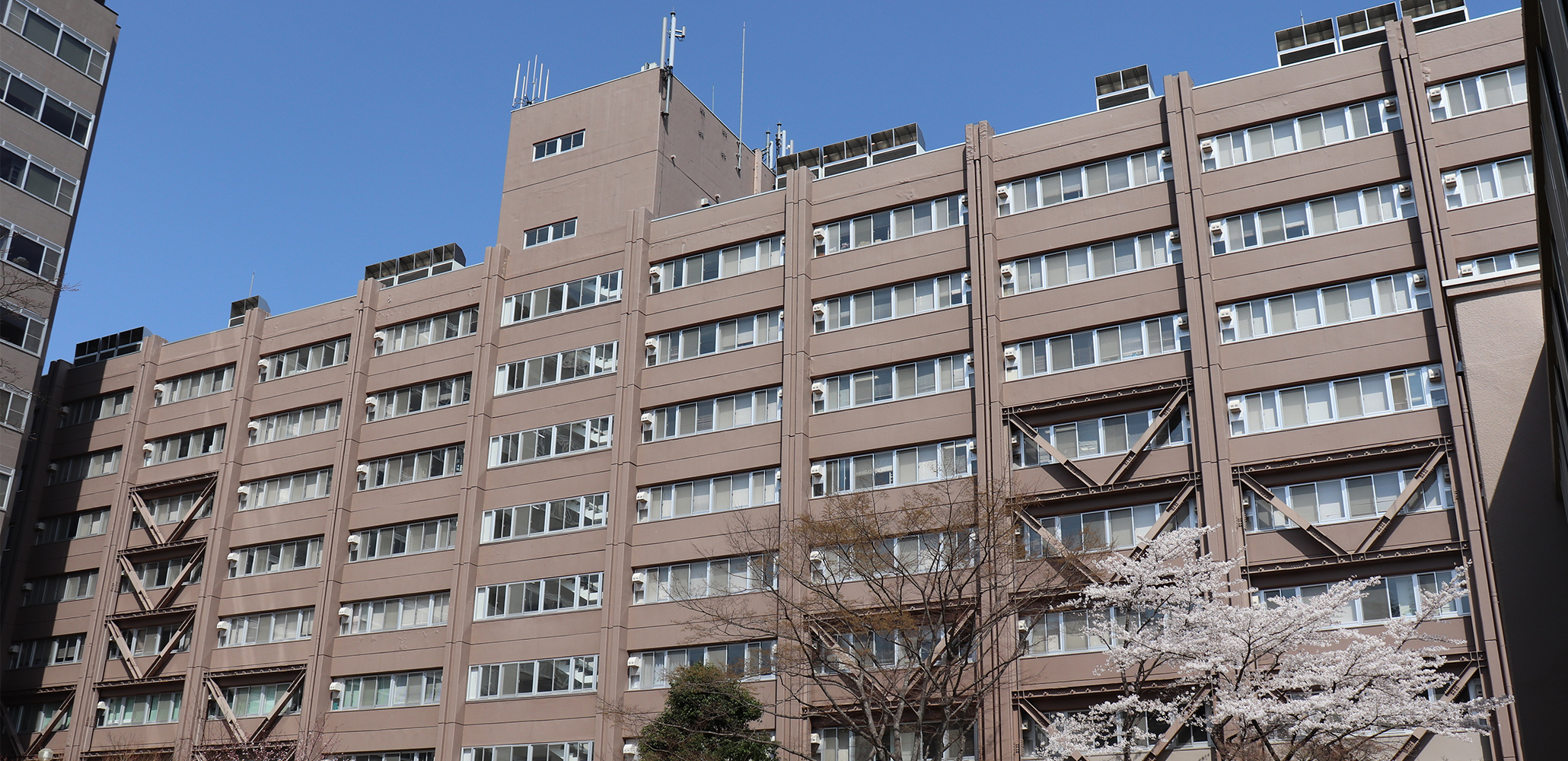 東北大学大学院 文学研究科